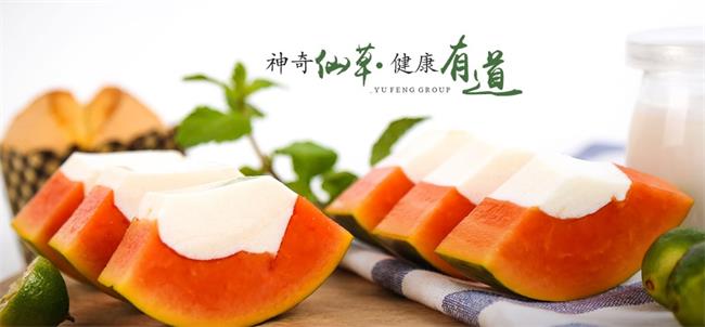 YUFIRM宇峰品牌logo與食品包裝設計欣賞(圖4)