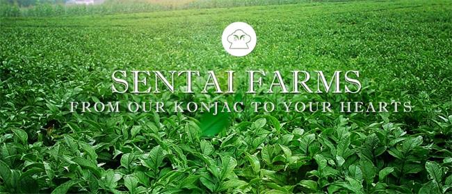 森態(tài)食品包裝設計欣賞(圖2)