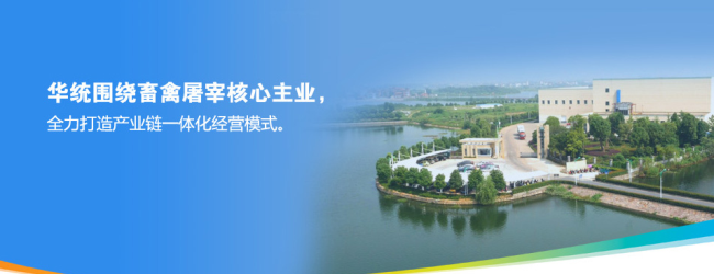 HUATONG華統(tǒng)食品包裝設(shè)計(jì)欣賞(圖3)