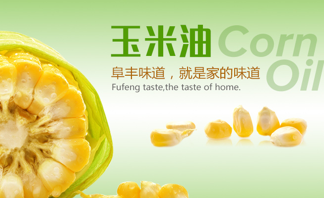 阜豐食品包裝設(shè)計(jì)欣賞(圖3)