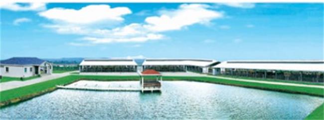 Asi艾森食品包裝設(shè)計(jì)欣賞(圖4)