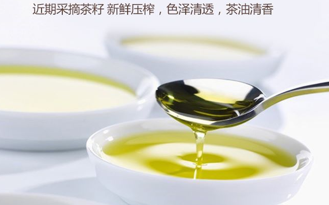 大康時(shí)代山茶油 大康時(shí)代食品包裝設(shè)計(jì)欣賞(圖4)