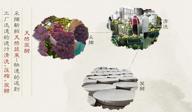 大漢酵素食品包裝設計欣賞(圖3)