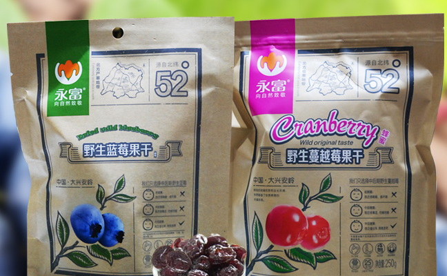 YONGFU永富食品包裝設(shè)計(jì)欣賞(圖2)