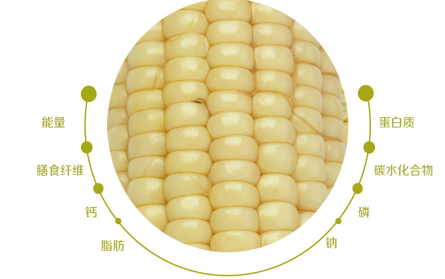 黃羊河玉米 黃羊河食品包裝設(shè)計(jì)欣賞(圖3)