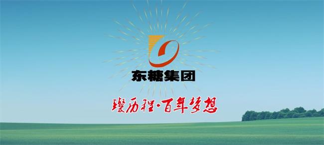 白蓮牌食品包裝設(shè)計欣賞(圖2)