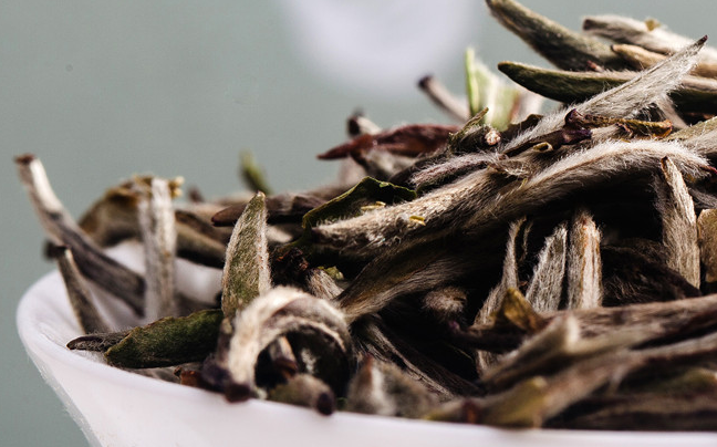 大灣頭白茶 大灣頭食品包裝設(shè)計(jì)欣賞(圖3)