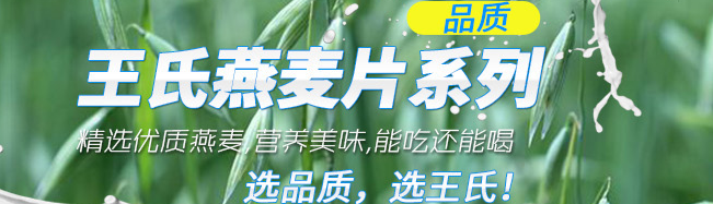 WANGSHI王氏食品包裝設(shè)計(jì)欣賞(圖4)