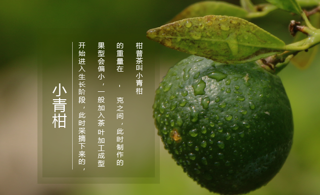 柑普人家食品包裝設(shè)計(jì)欣賞(圖2)