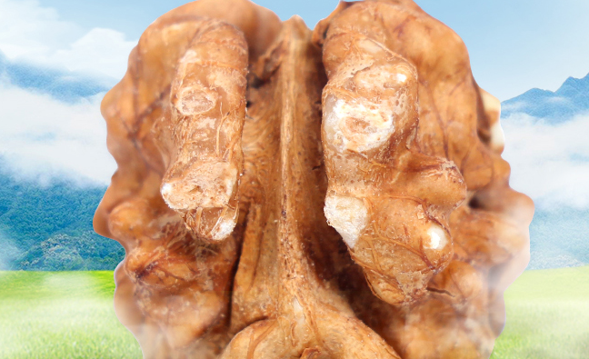 昱嶺關(guān)食品包裝設(shè)計(jì)欣賞(圖4)