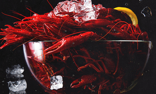 蝦皇食品包裝設(shè)計(jì)欣賞(圖2)