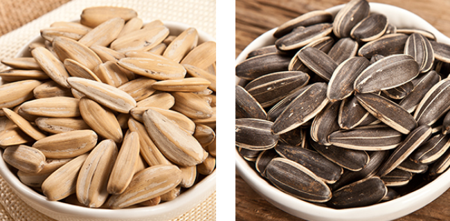 童年記食品包裝設(shè)計欣賞(圖3)