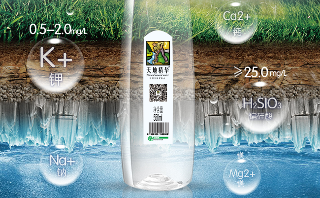 天地精華食品包裝設(shè)計(jì)欣賞(圖3)