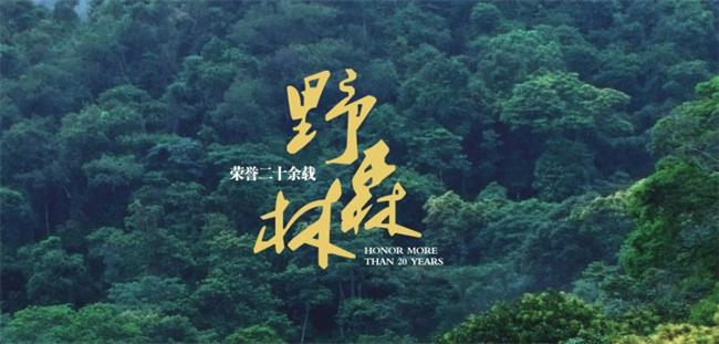 野森林食品包裝設計欣賞(圖3)