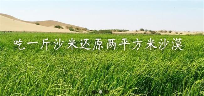 沙米大米 沙米食品包裝設(shè)計(jì)欣賞(圖3)