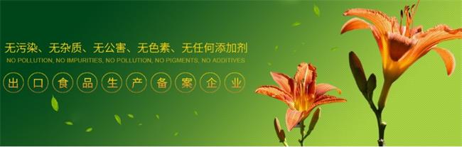 鑫發(fā)食品食品包裝設(shè)計欣賞(圖3)